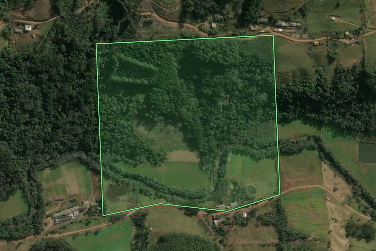 Imagem de satélite do imóvel rural em Xavantina (SC), com o contorno declarado no CAR desenhado por cima.