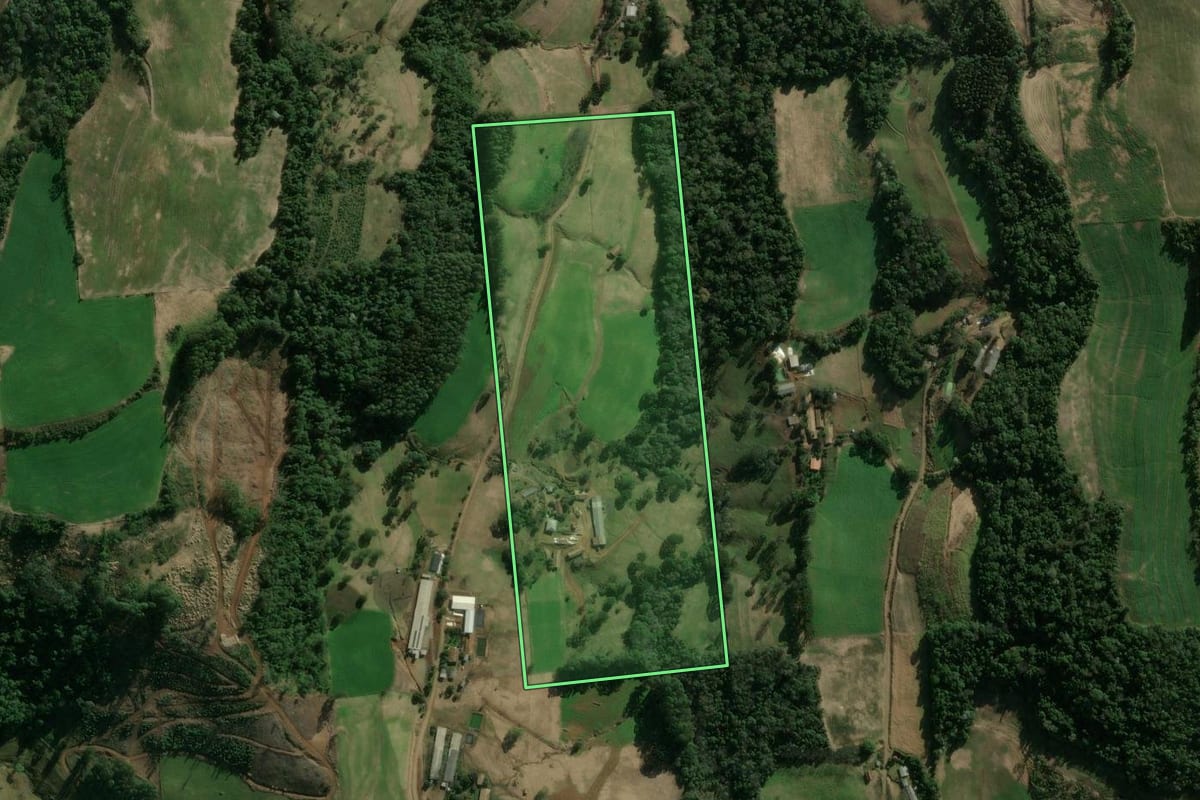 Imagem de satélite do imóvel rural em Xavantina (SC), com o contorno declarado no CAR desenhado por cima.