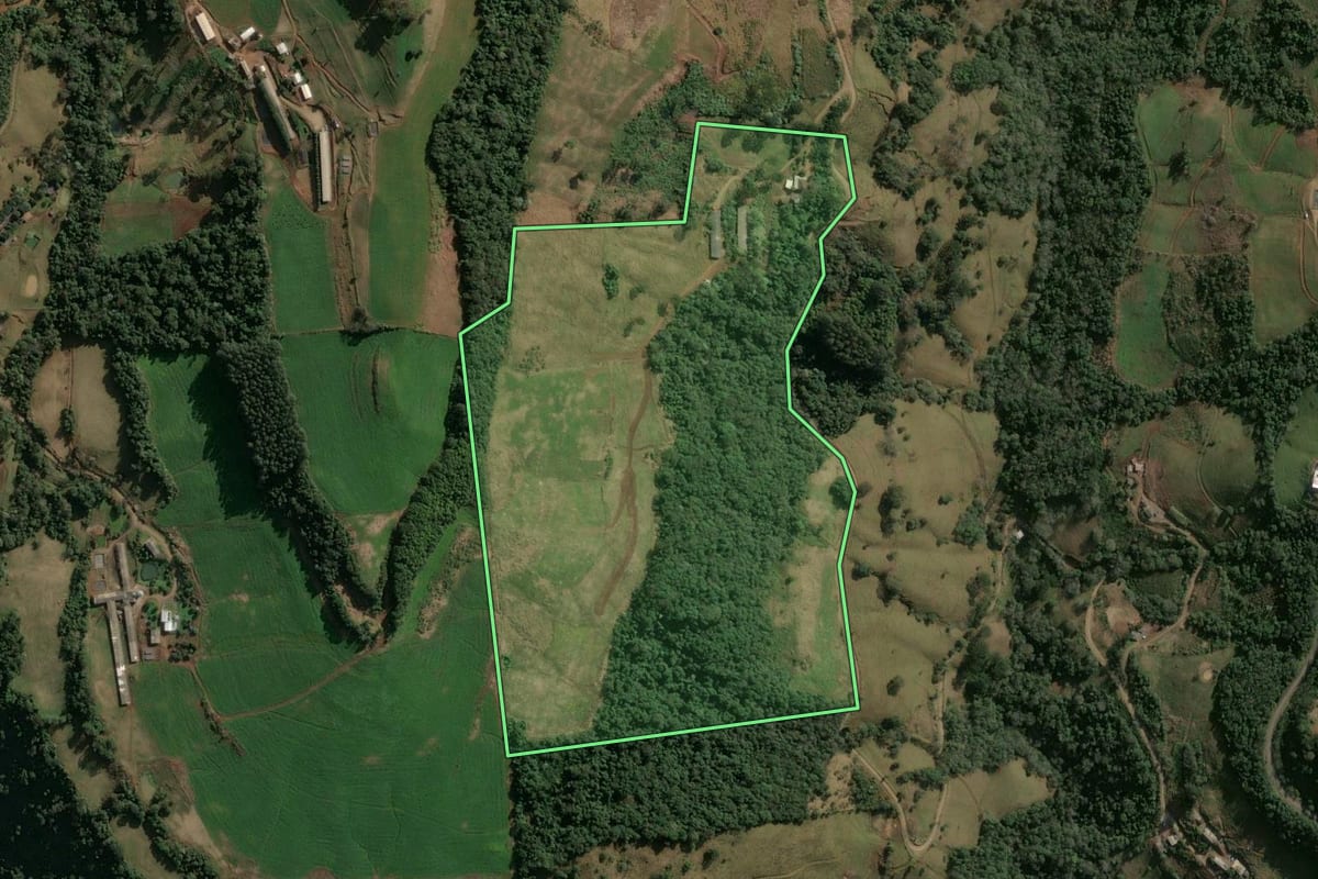 Imagem de satélite do imóvel rural em Xavantina (SC), com o contorno declarado no CAR desenhado por cima.
