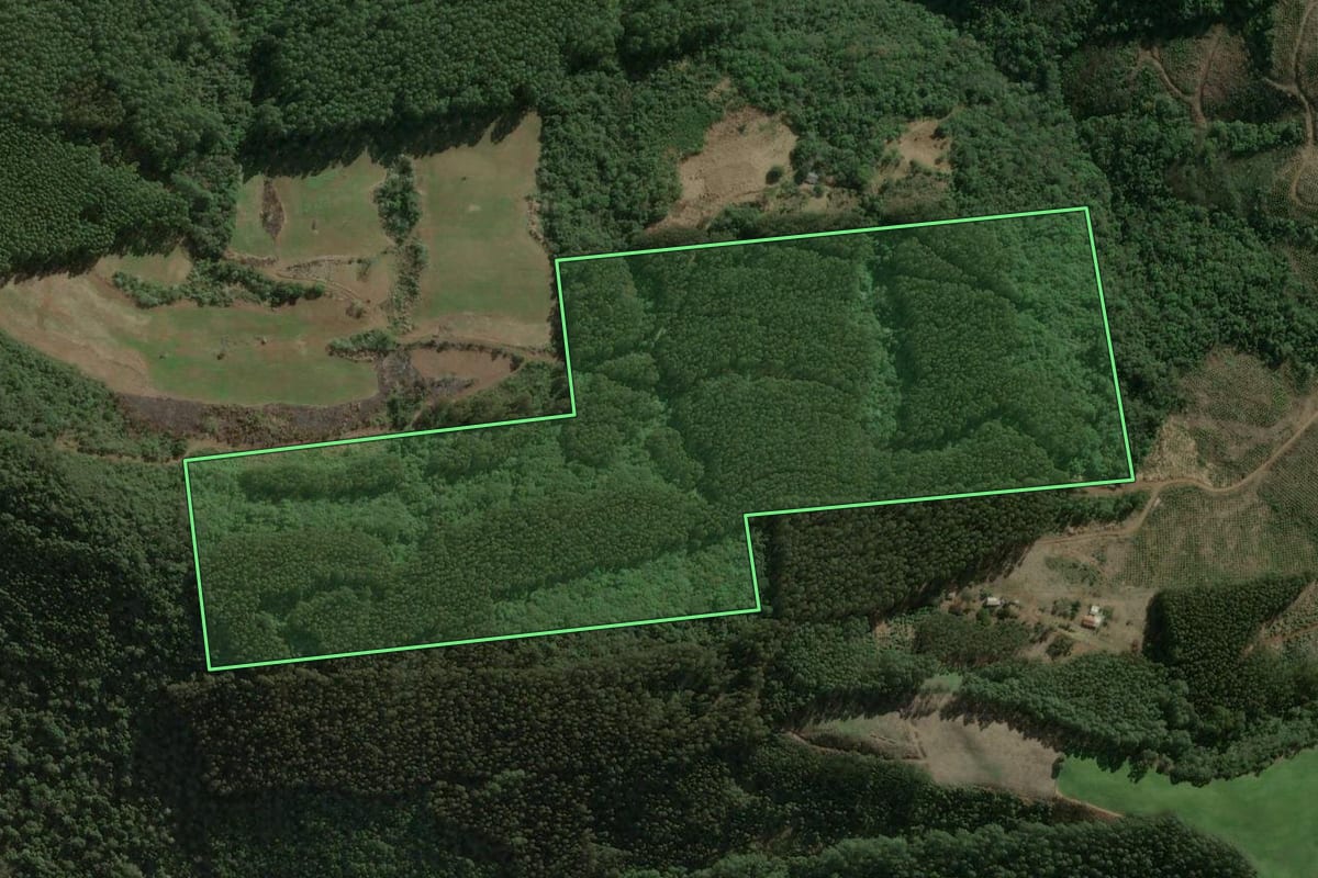 Imagem de satélite do imóvel rural em Xavantina (SC), com o contorno declarado no CAR desenhado por cima.