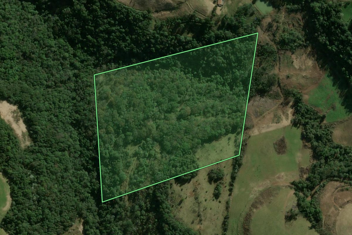 Imagem de satélite do imóvel rural em Xavantina (SC), com o contorno declarado no CAR desenhado por cima.