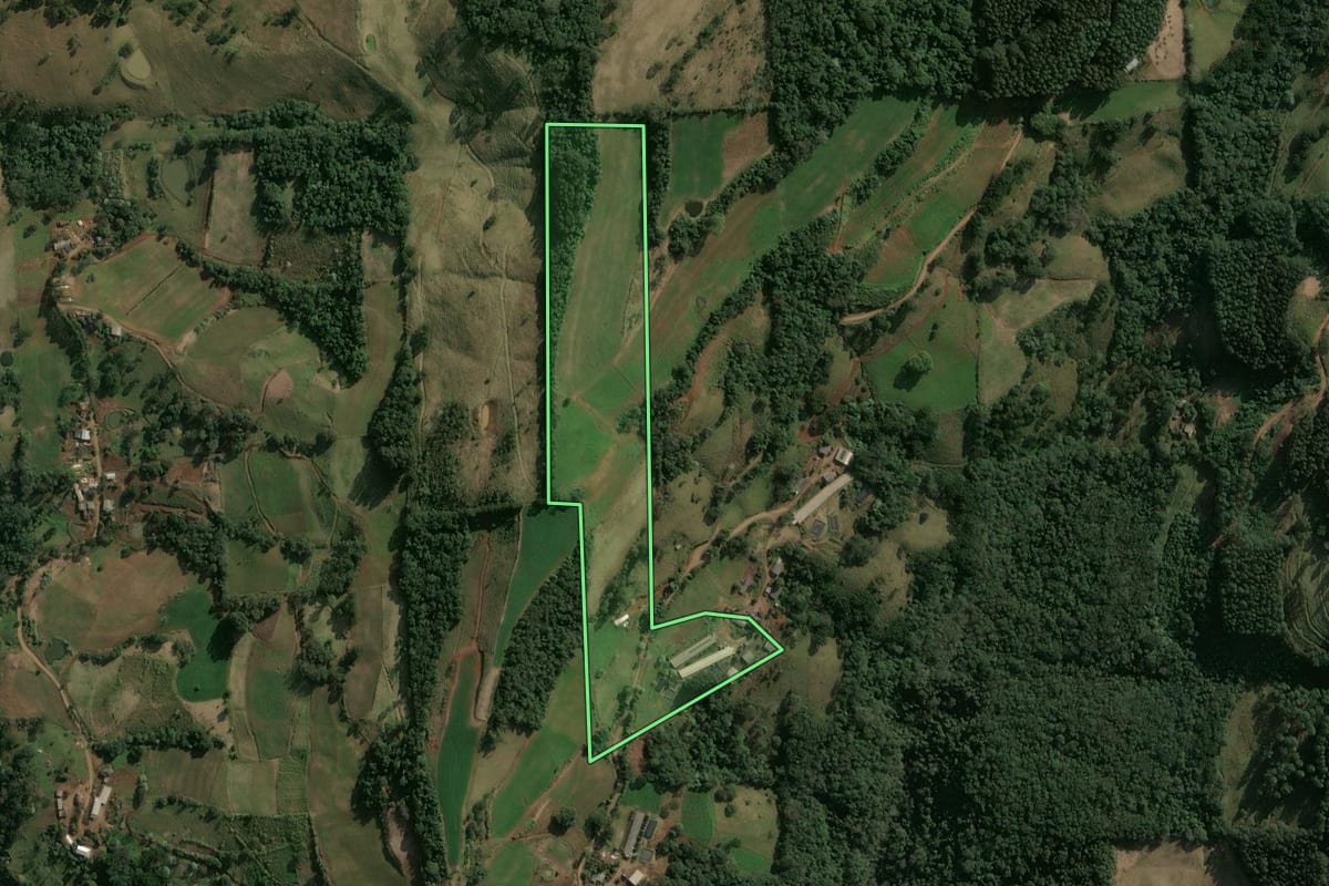 Imagem de satélite do imóvel rural em Xavantina (SC), com o contorno declarado no CAR desenhado por cima.