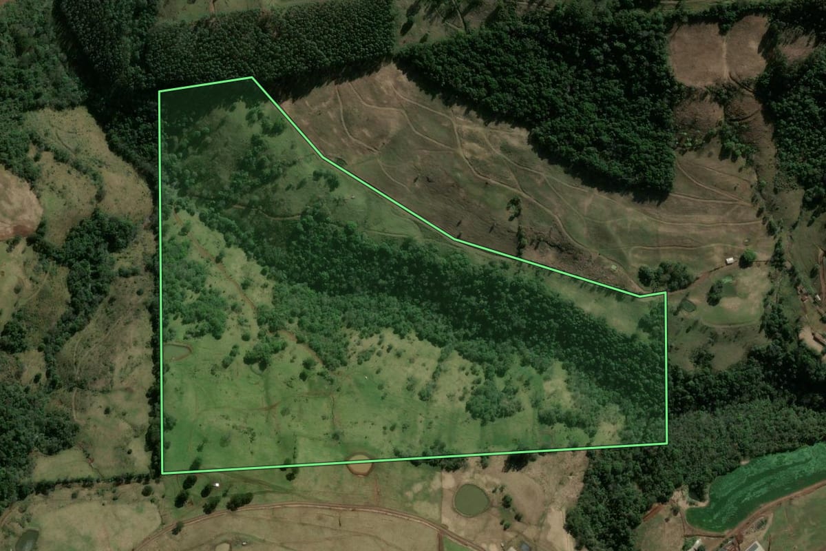 Imagem de satélite do imóvel rural em Xavantina (SC), com o contorno declarado no CAR desenhado por cima.