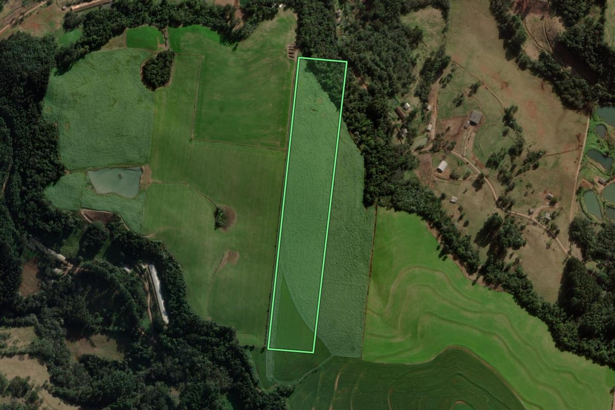 Imagem de satélite do imóvel rural em Xaxim (SC), com o contorno declarado no CAR desenhado por cima.