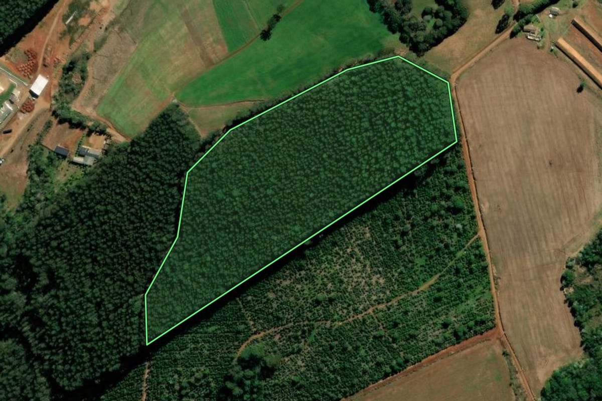 Imagem de satélite do imóvel rural em Xaxim (SC), com o contorno declarado no CAR desenhado por cima.