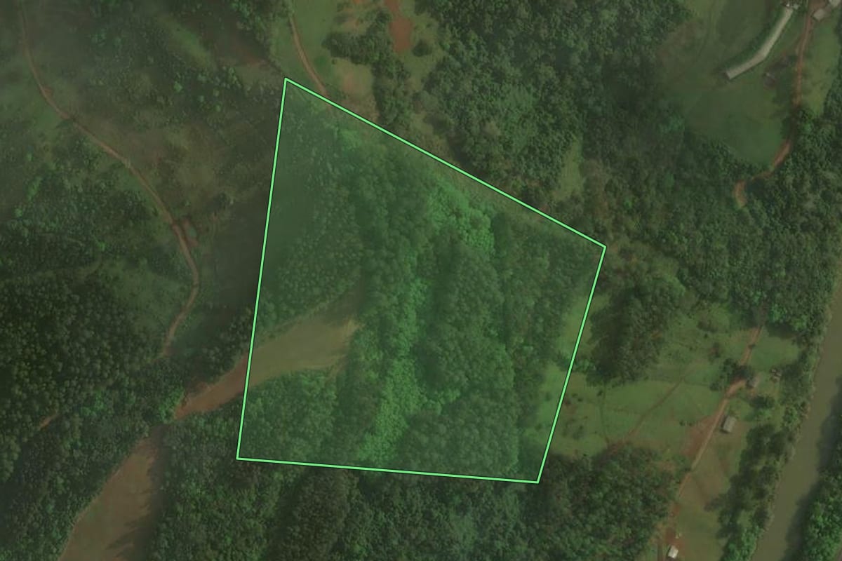Imagem de satélite do imóvel rural em Xaxim (SC), com o contorno declarado no CAR desenhado por cima.
