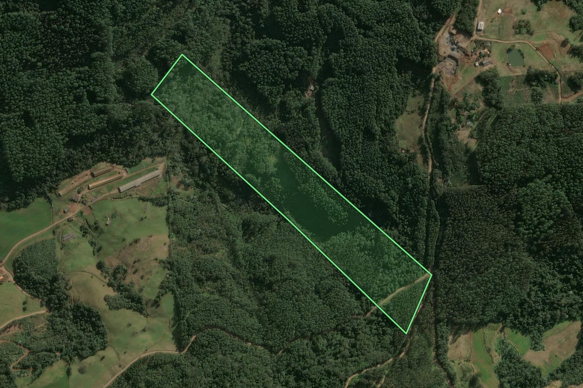 Imagem de satélite do imóvel rural em Xaxim (SC), com o contorno declarado no CAR desenhado por cima.