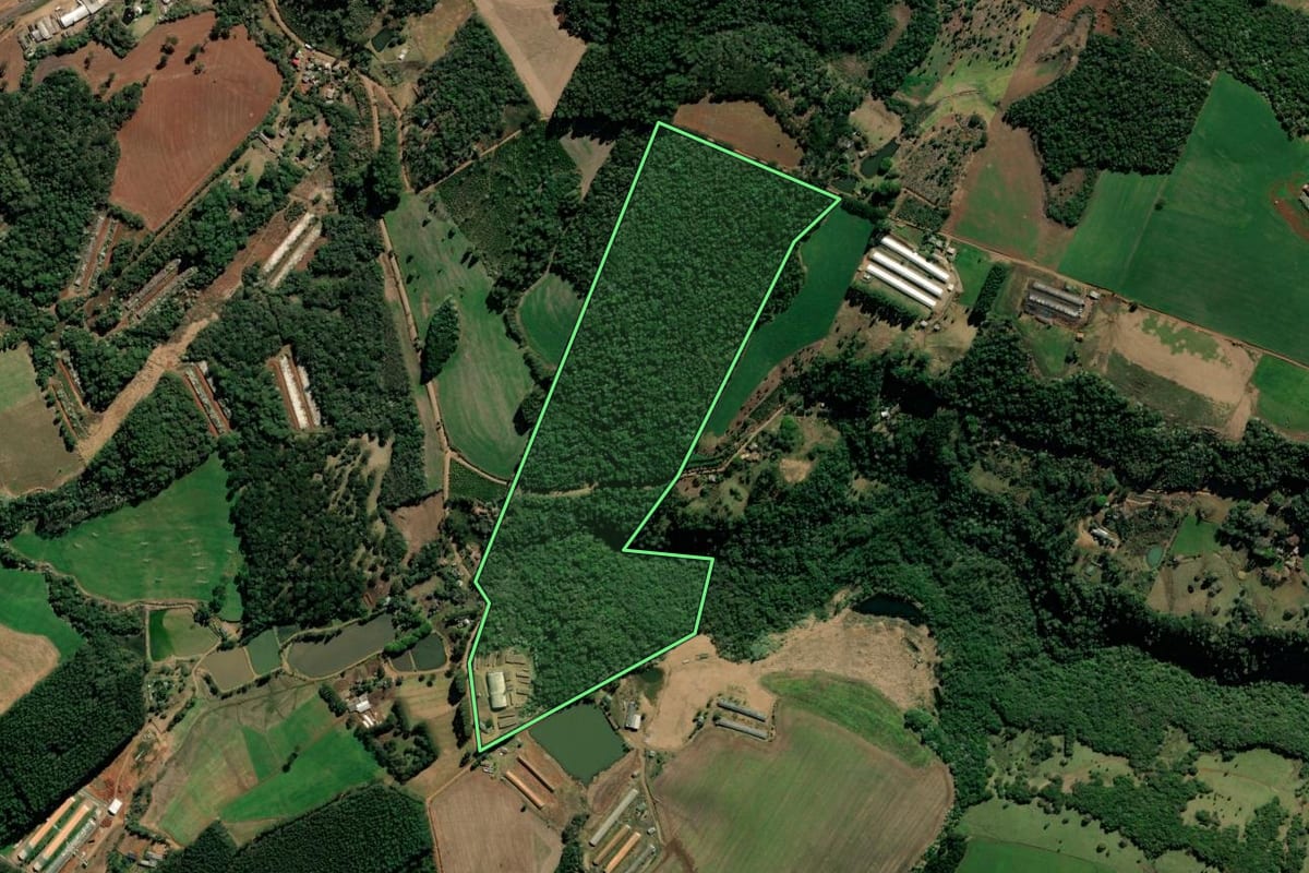 Imagem de satélite do imóvel rural em Xaxim (SC), com o contorno declarado no CAR desenhado por cima.