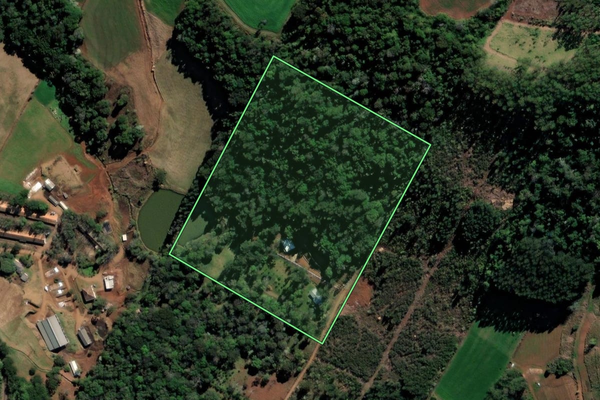 Imagem de satélite do imóvel rural em Xaxim (SC), com o contorno declarado no CAR desenhado por cima.