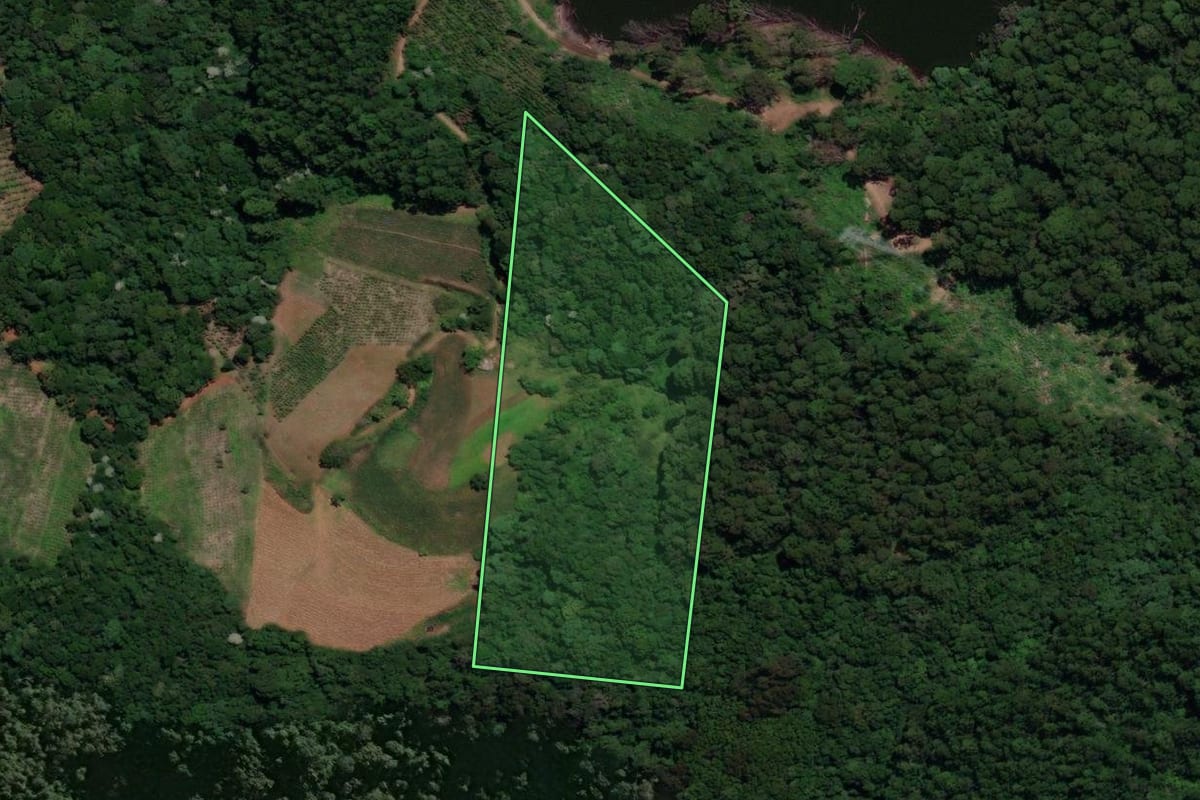 Imagem de satélite do imóvel rural em Xaxim (SC), com o contorno declarado no CAR desenhado por cima.