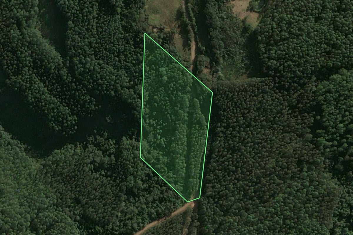 Imagem de satélite do imóvel rural em Xaxim (SC), com o contorno declarado no CAR desenhado por cima.