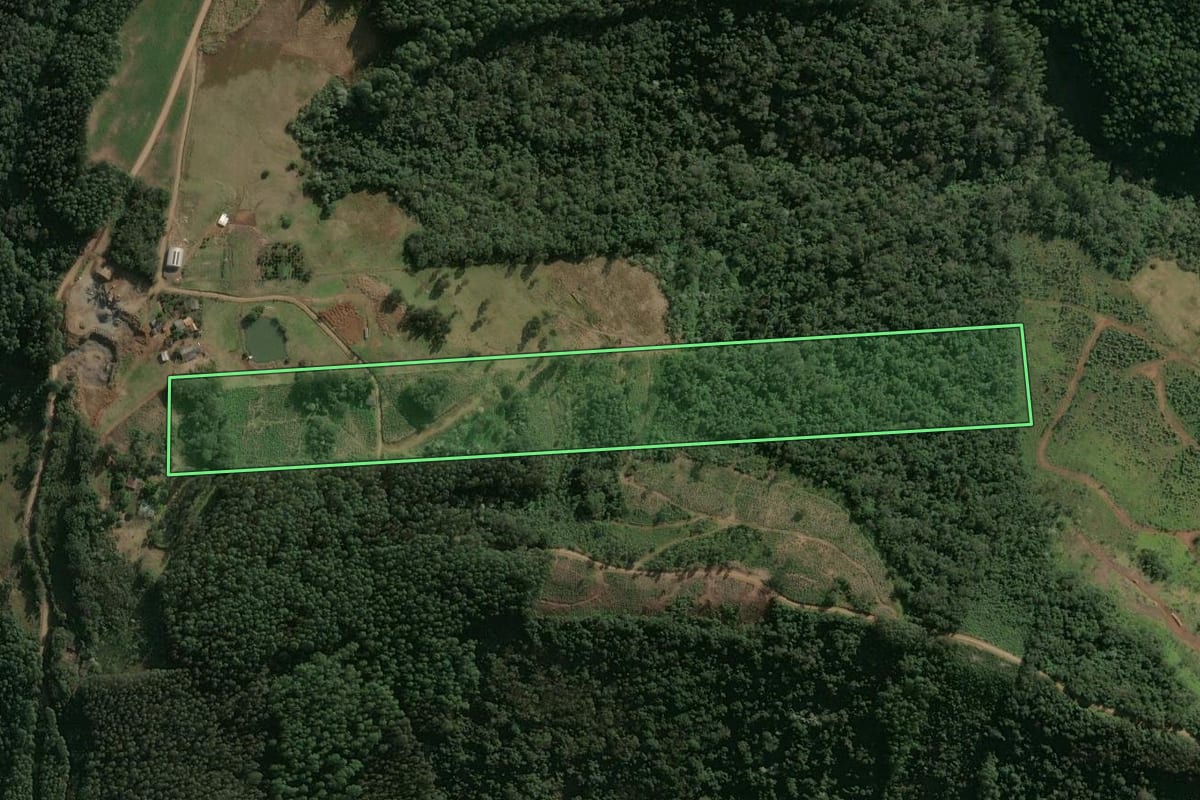 Imagem de satélite do imóvel rural em Xaxim (SC), com o contorno declarado no CAR desenhado por cima.