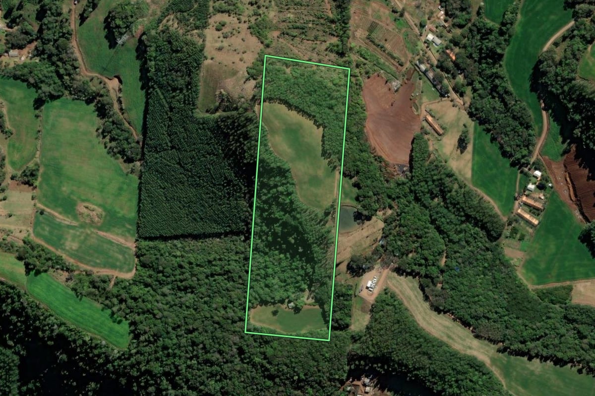 Imagem de satélite do imóvel rural em Xaxim (SC), com o contorno declarado no CAR desenhado por cima.