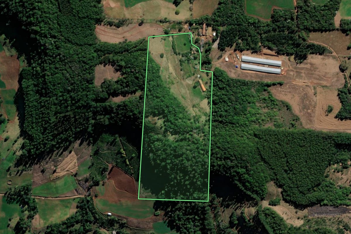 Imagem de satélite do imóvel rural em Xaxim (SC), com o contorno declarado no CAR desenhado por cima.
