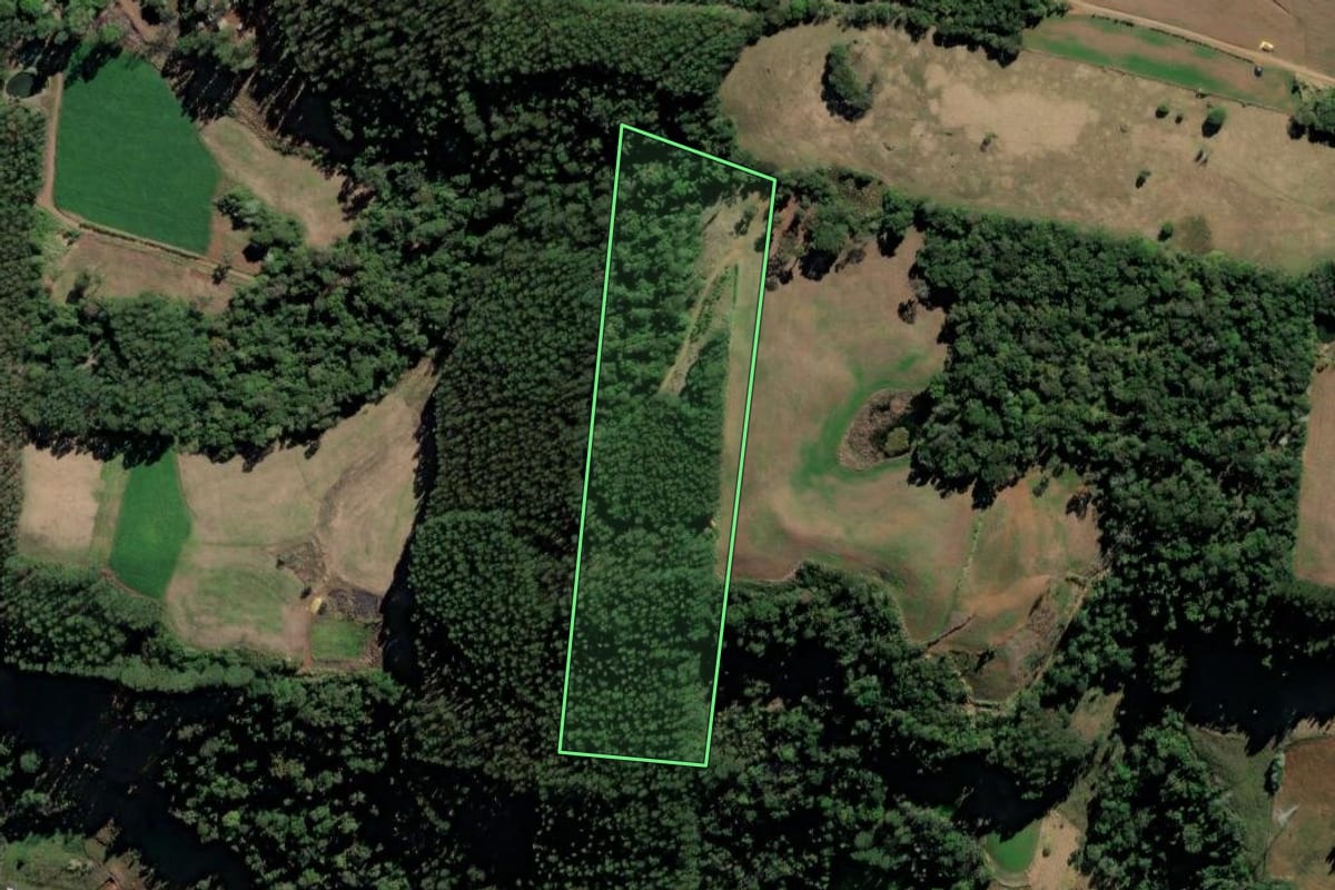 Imagem de satélite do imóvel rural em Xaxim (SC), com o contorno declarado no CAR desenhado por cima.
