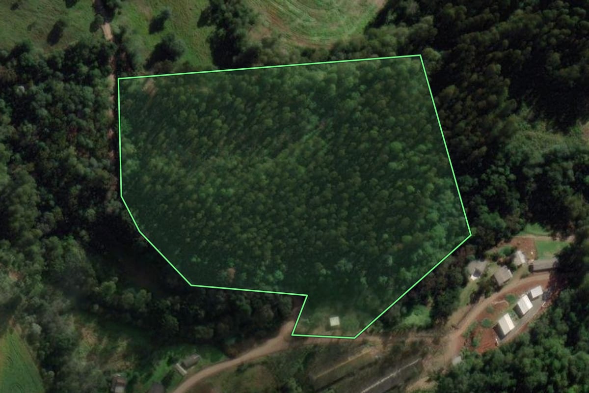 Imagem de satélite do imóvel rural em Xaxim (SC), com o contorno declarado no CAR desenhado por cima.