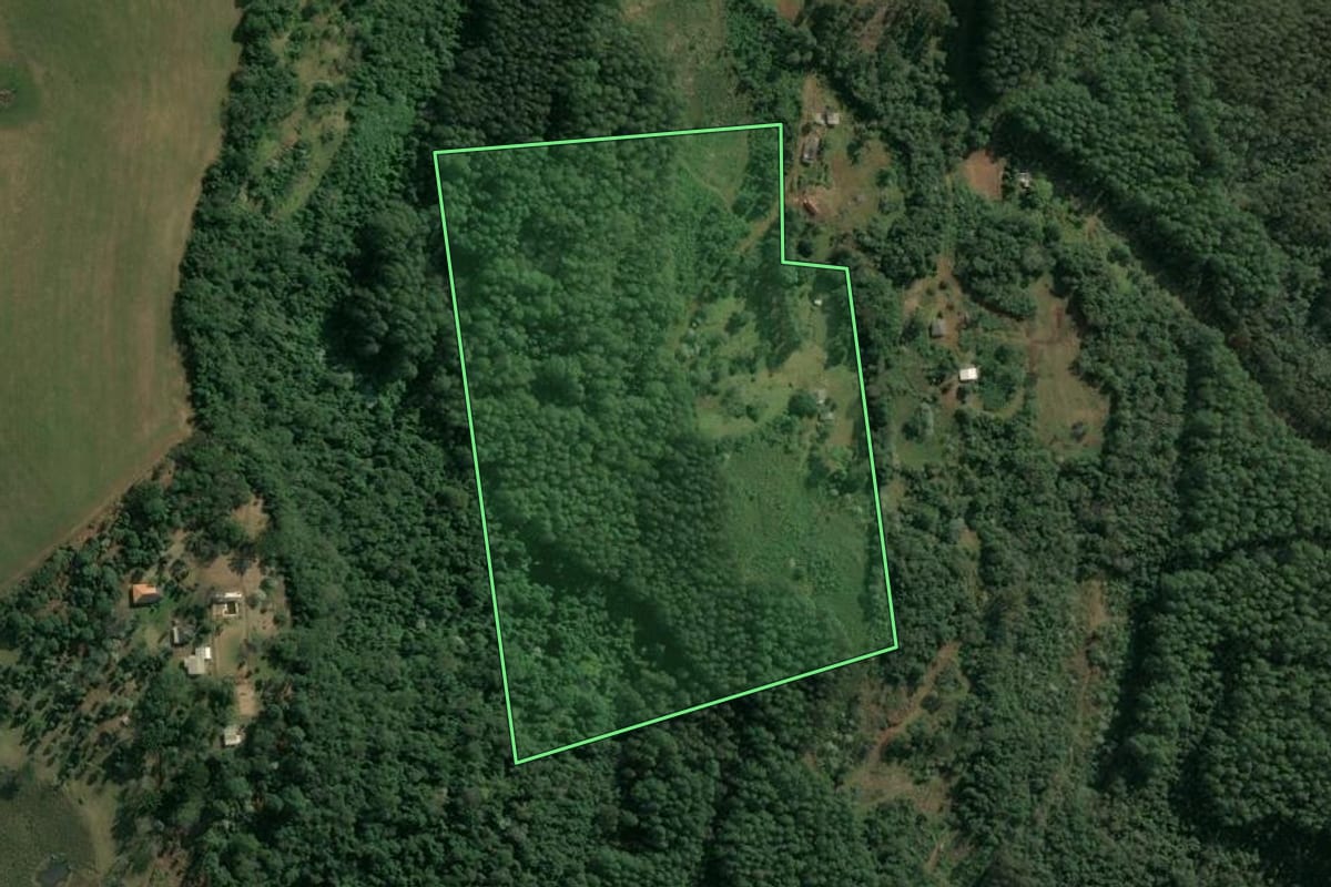 Imagem de satélite do imóvel rural em Xaxim (SC), com o contorno declarado no CAR desenhado por cima.