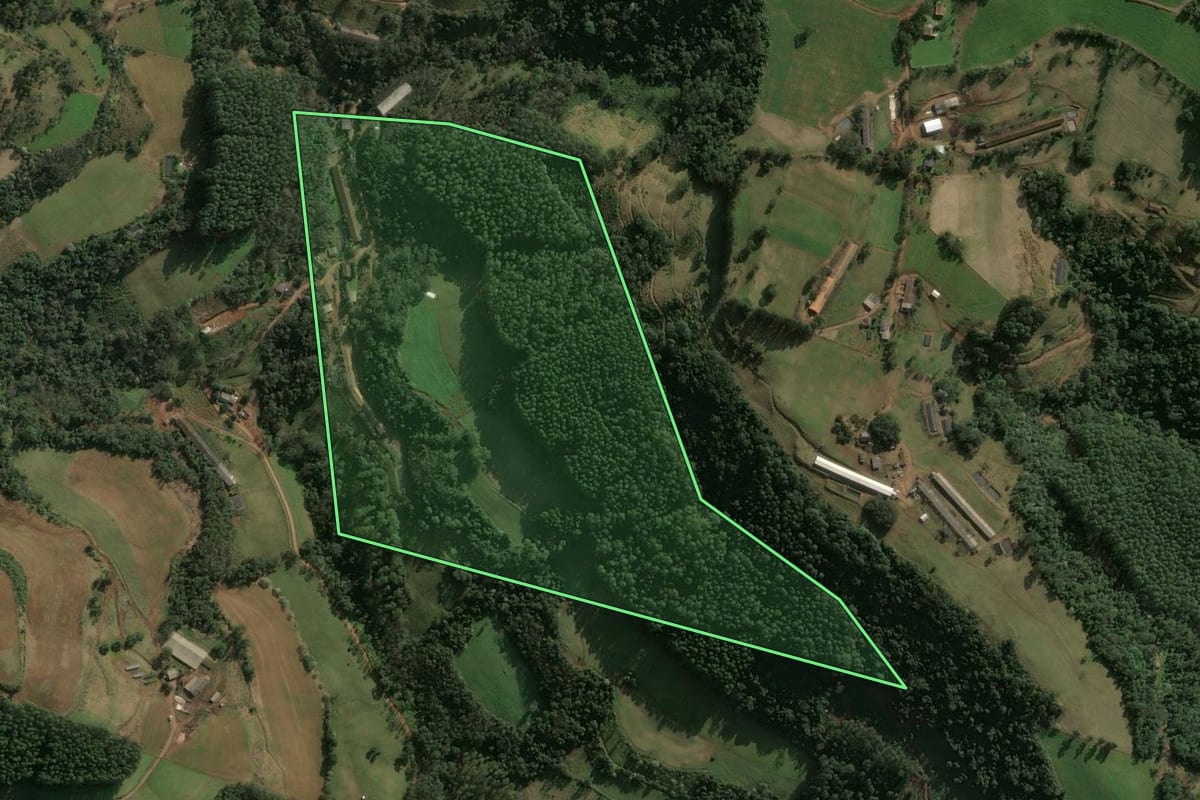 Imagem de satélite do imóvel rural em Xaxim (SC), com o contorno declarado no CAR desenhado por cima.