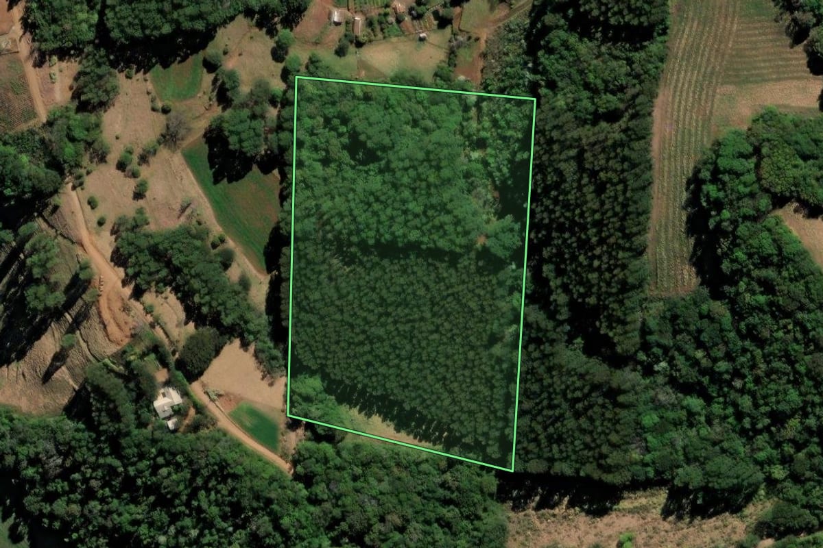 Imagem de satélite do imóvel rural em Xaxim (SC), com o contorno declarado no CAR desenhado por cima.
