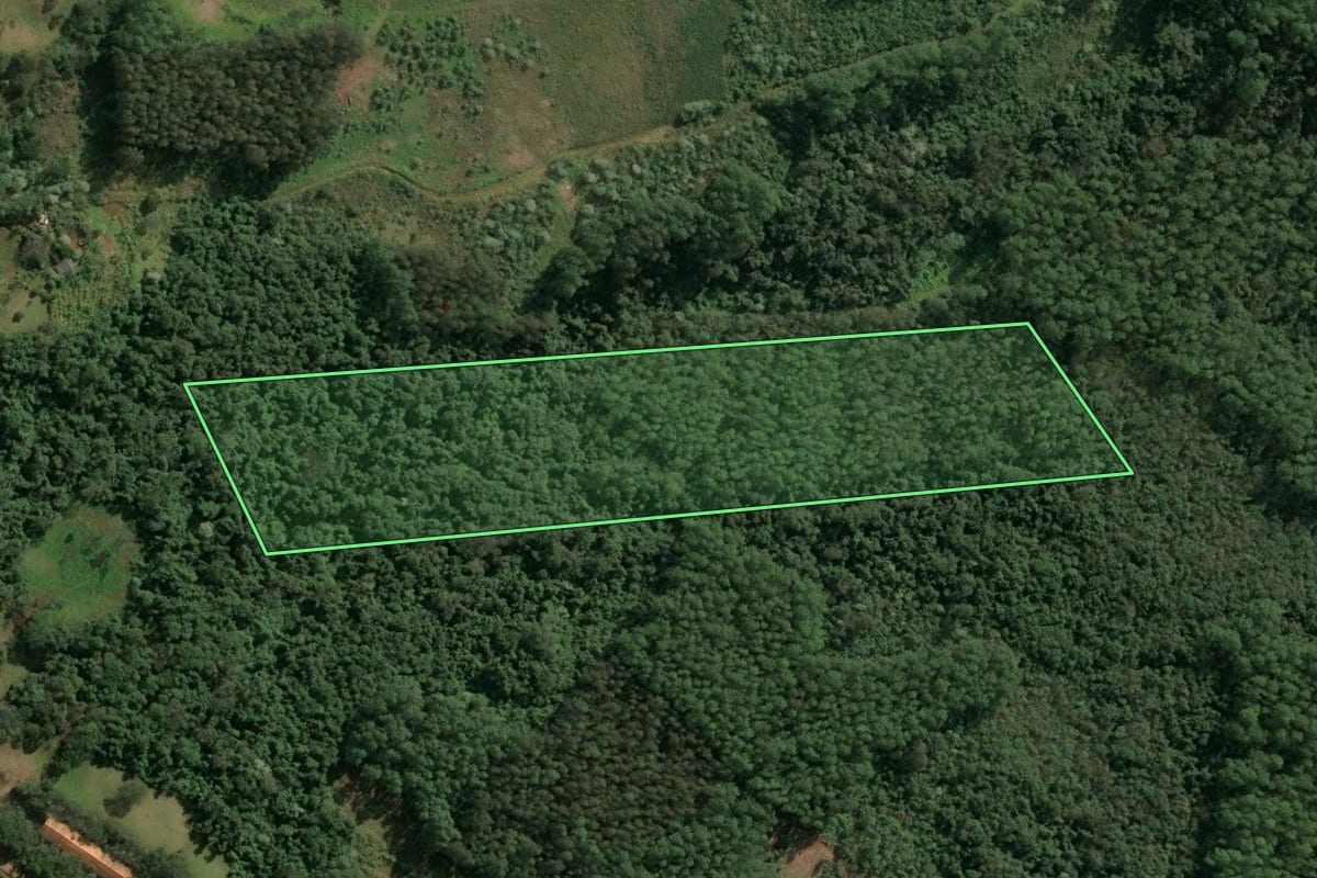 Imagem de satélite do imóvel rural em Xaxim (SC), com o contorno declarado no CAR desenhado por cima.