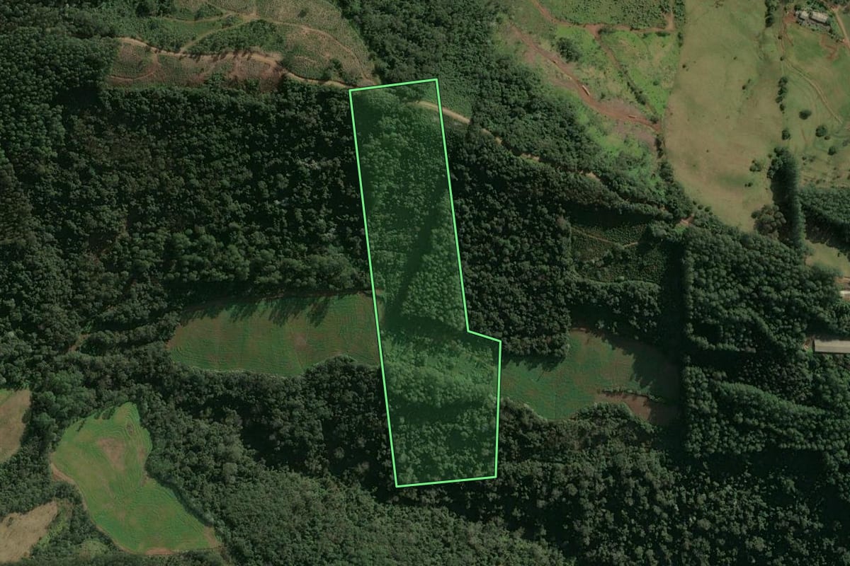 Imagem de satélite do imóvel rural em Xaxim (SC), com o contorno declarado no CAR desenhado por cima.