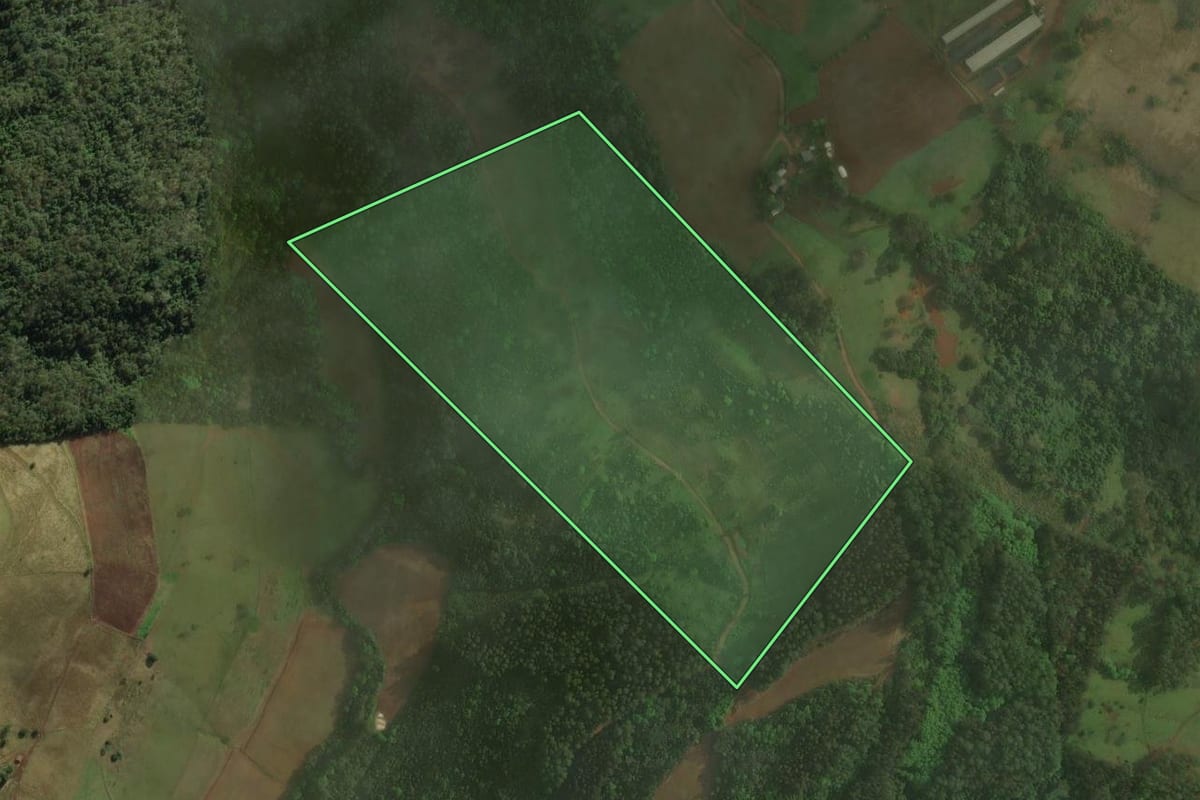 Imagem de satélite do imóvel rural em Xaxim (SC), com o contorno declarado no CAR desenhado por cima.