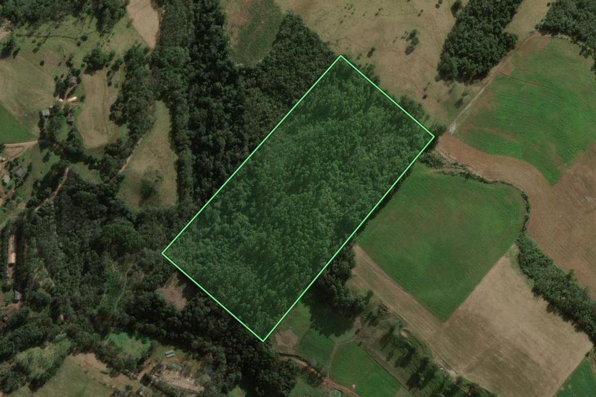 Imagem de satélite do imóvel rural em Xaxim (SC), com o contorno declarado no CAR desenhado por cima.