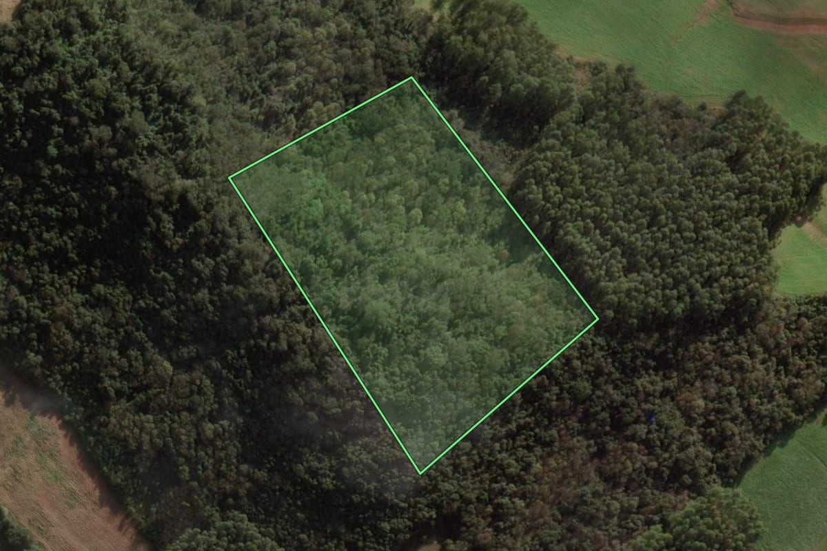 Imagem de satélite do imóvel rural em Xaxim (SC), com o contorno declarado no CAR desenhado por cima.