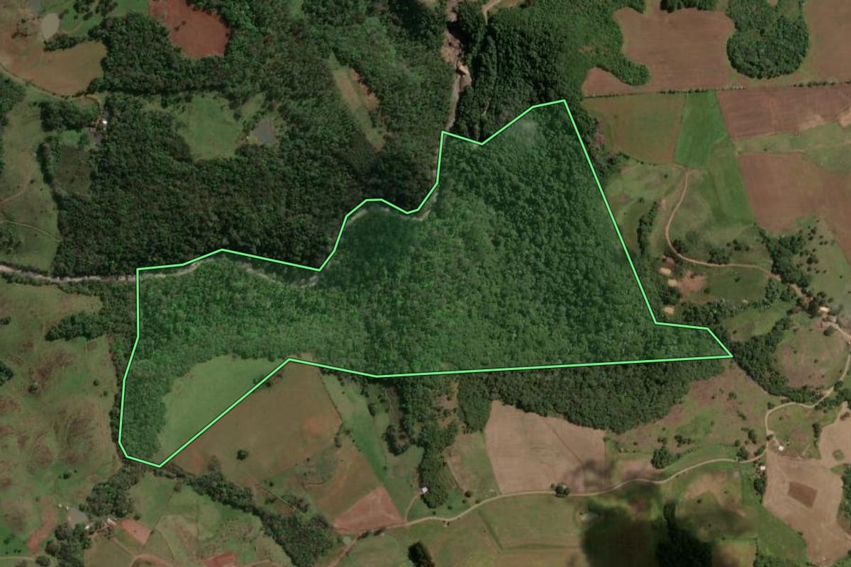 Imagem de satélite do imóvel rural em Zortéa (SC), com o contorno declarado no CAR desenhado por cima.