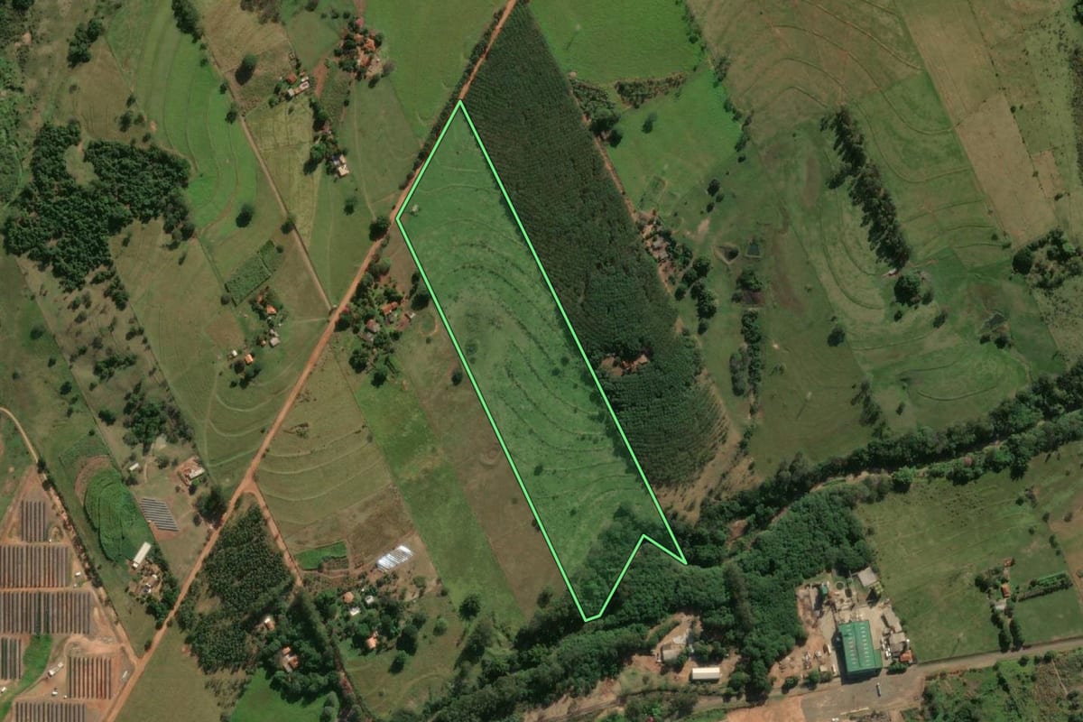 Imagem de satélite do imóvel rural em Adamantina (SP), com o contorno declarado no CAR desenhado por cima.