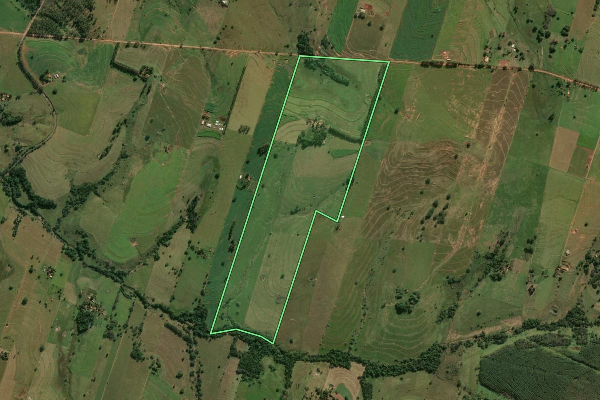Imagem de satélite do imóvel rural em Adamantina (SP), com o contorno declarado no CAR desenhado por cima.