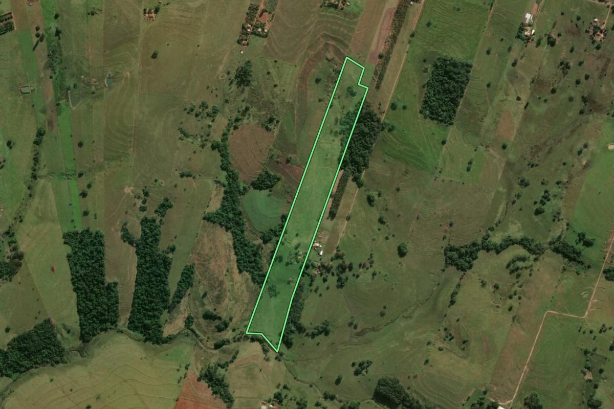 Imagem de satélite do imóvel rural em Adamantina (SP), com o contorno declarado no CAR desenhado por cima.