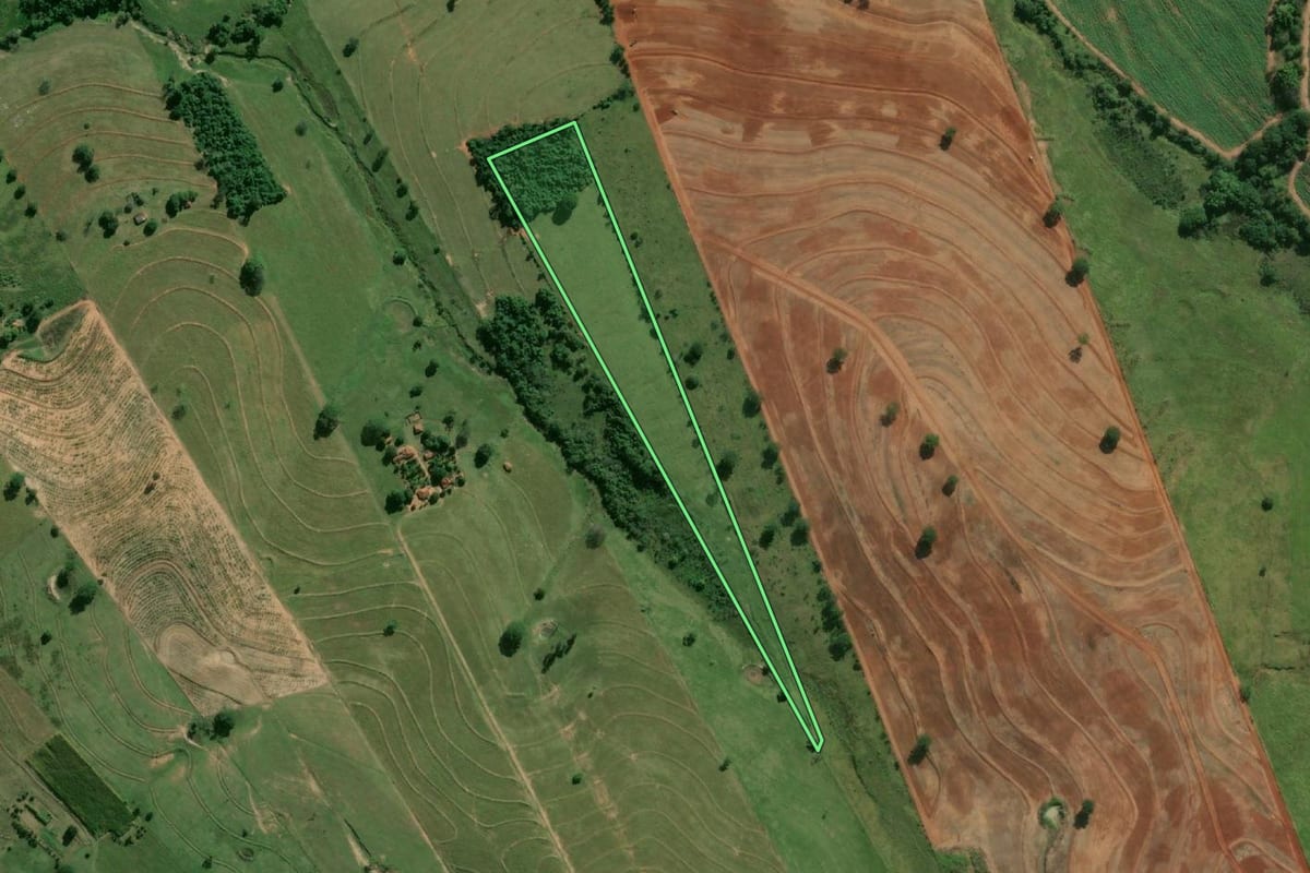 Imagem de satélite do imóvel rural em Adamantina (SP), com o contorno declarado no CAR desenhado por cima.