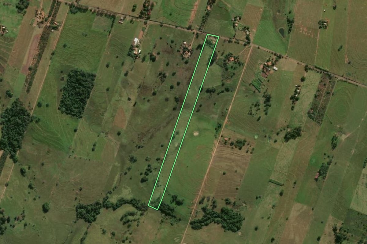 Imagem de satélite do imóvel rural em Adamantina (SP), com o contorno declarado no CAR desenhado por cima.
