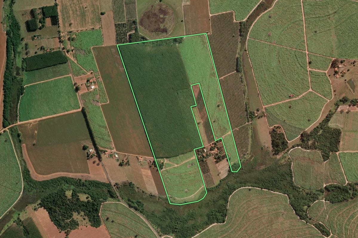 Imagem de satélite do imóvel rural em Adolfo (SP), com o contorno declarado no CAR desenhado por cima.