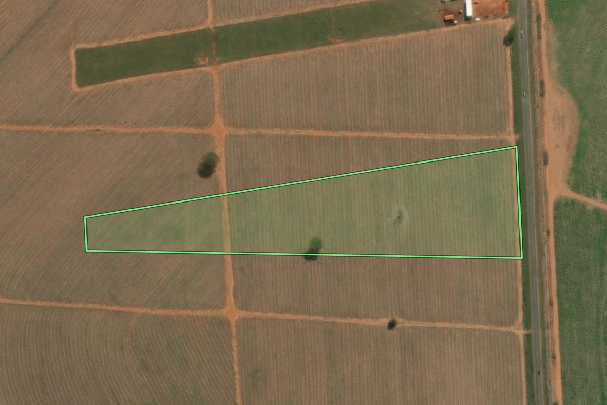 Imagem de satélite do imóvel rural em Adolfo (SP), com o contorno declarado no CAR desenhado por cima.