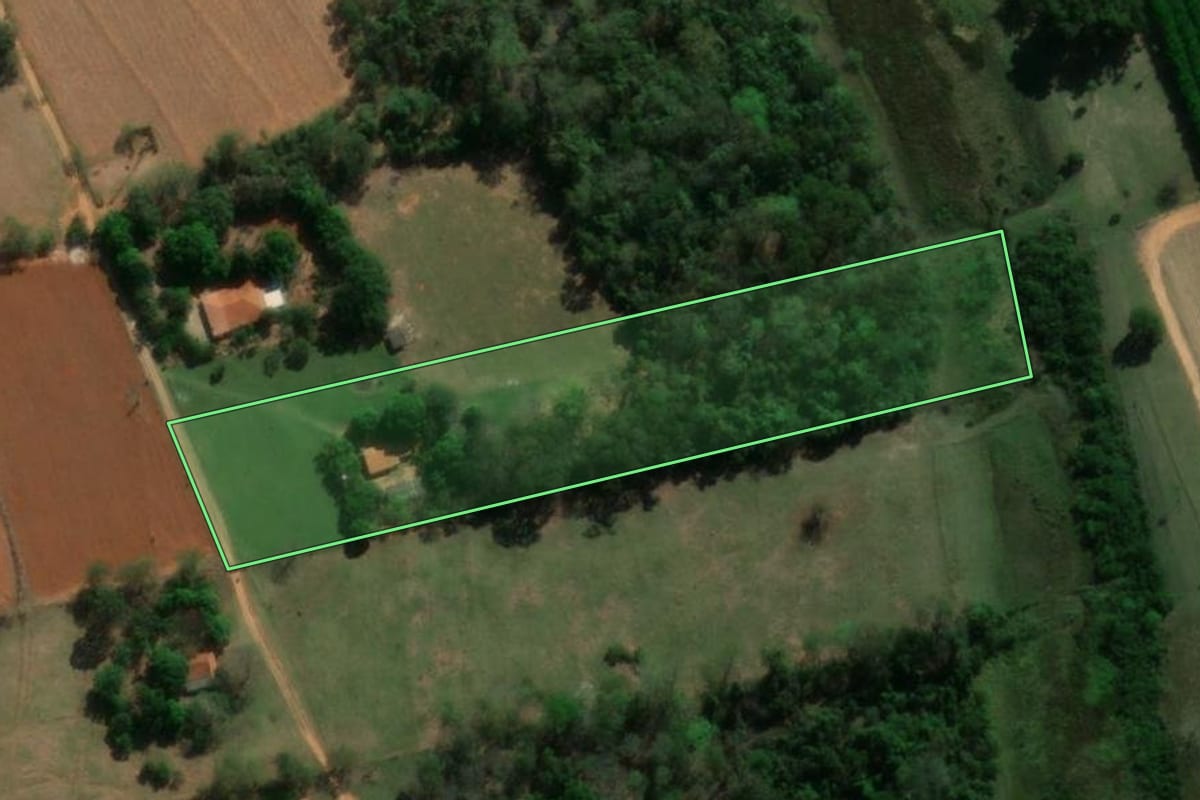 Imagem de satélite do imóvel rural em Adolfo (SP), com o contorno declarado no CAR desenhado por cima.