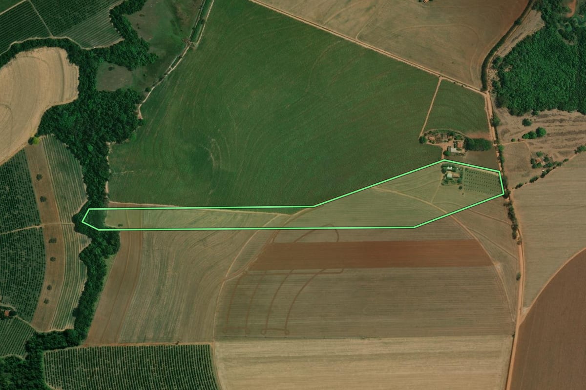 Imagem de satélite do imóvel rural em Aguaí (SP), com o contorno declarado no CAR desenhado por cima.