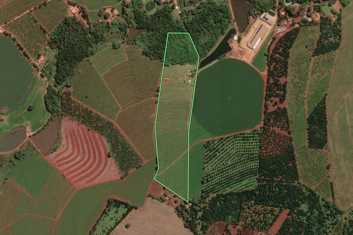 Imagem de satélite do imóvel rural em Aguaí (SP), com o contorno declarado no CAR desenhado por cima.