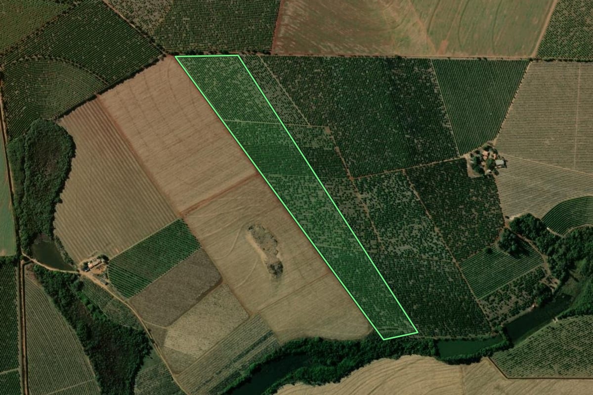 Imagem de satélite do imóvel rural em Aguaí (SP), com o contorno declarado no CAR desenhado por cima.