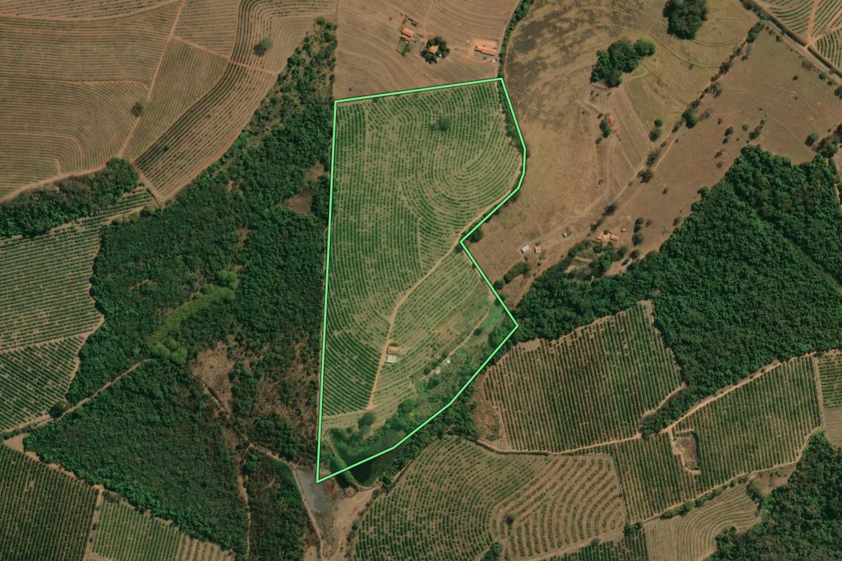 Imagem de satélite do imóvel rural em Aguaí (SP), com o contorno declarado no CAR desenhado por cima.