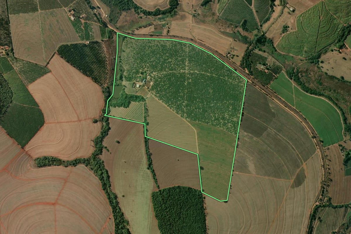 Imagem de satélite do imóvel rural em Aguaí (SP), com o contorno declarado no CAR desenhado por cima.