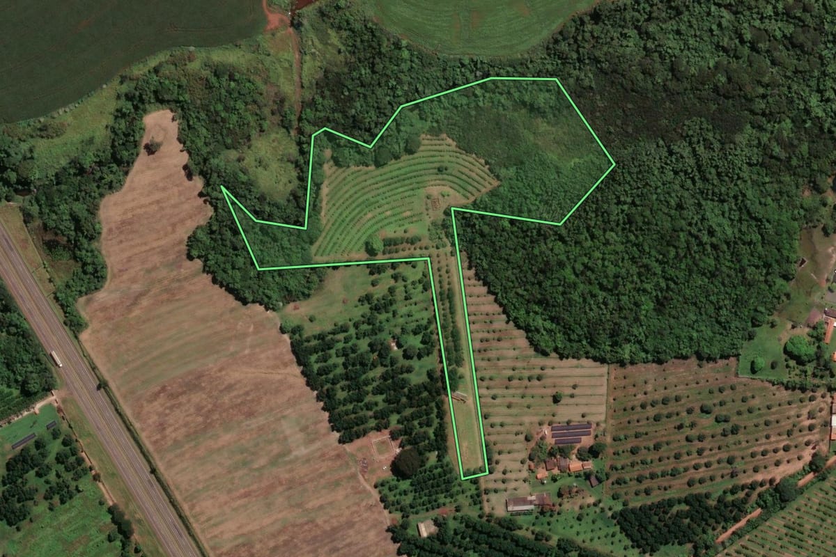 Imagem de satélite do imóvel rural em Aguaí (SP), com o contorno declarado no CAR desenhado por cima.