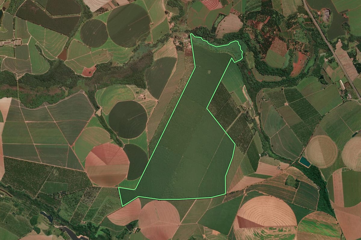 Imagem de satélite do imóvel rural em Aguaí (SP), com o contorno declarado no CAR desenhado por cima.
