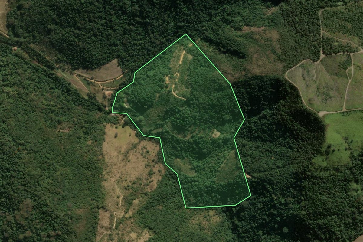 Imagem de satélite do imóvel rural em Águas da Prata (SP), com o contorno declarado no CAR desenhado por cima.