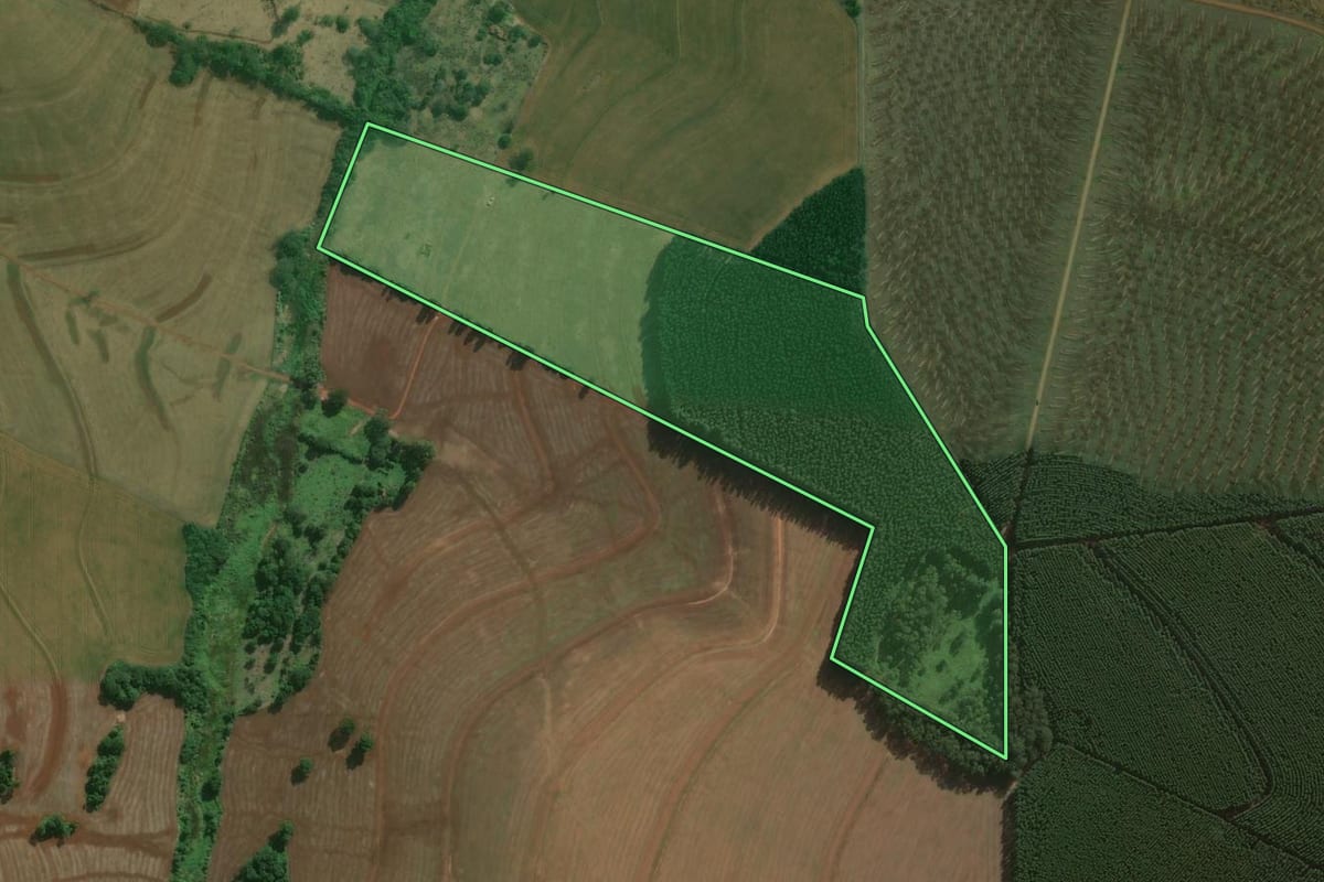 Imagem de satélite do imóvel rural em Águas de Santa Bárbara (SP), com o contorno declarado no CAR desenhado por cima.