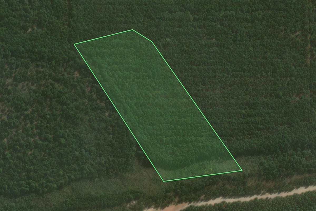 Imagem de satélite do imóvel rural em Águas de Santa Bárbara (SP), com o contorno declarado no CAR desenhado por cima.
