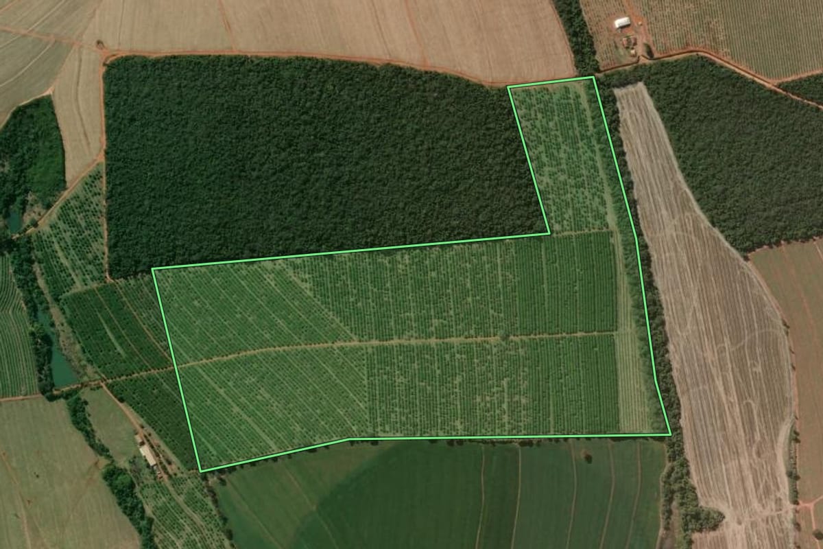 Imagem de satélite do imóvel rural em Águas de Santa Bárbara (SP), com o contorno declarado no CAR desenhado por cima.
