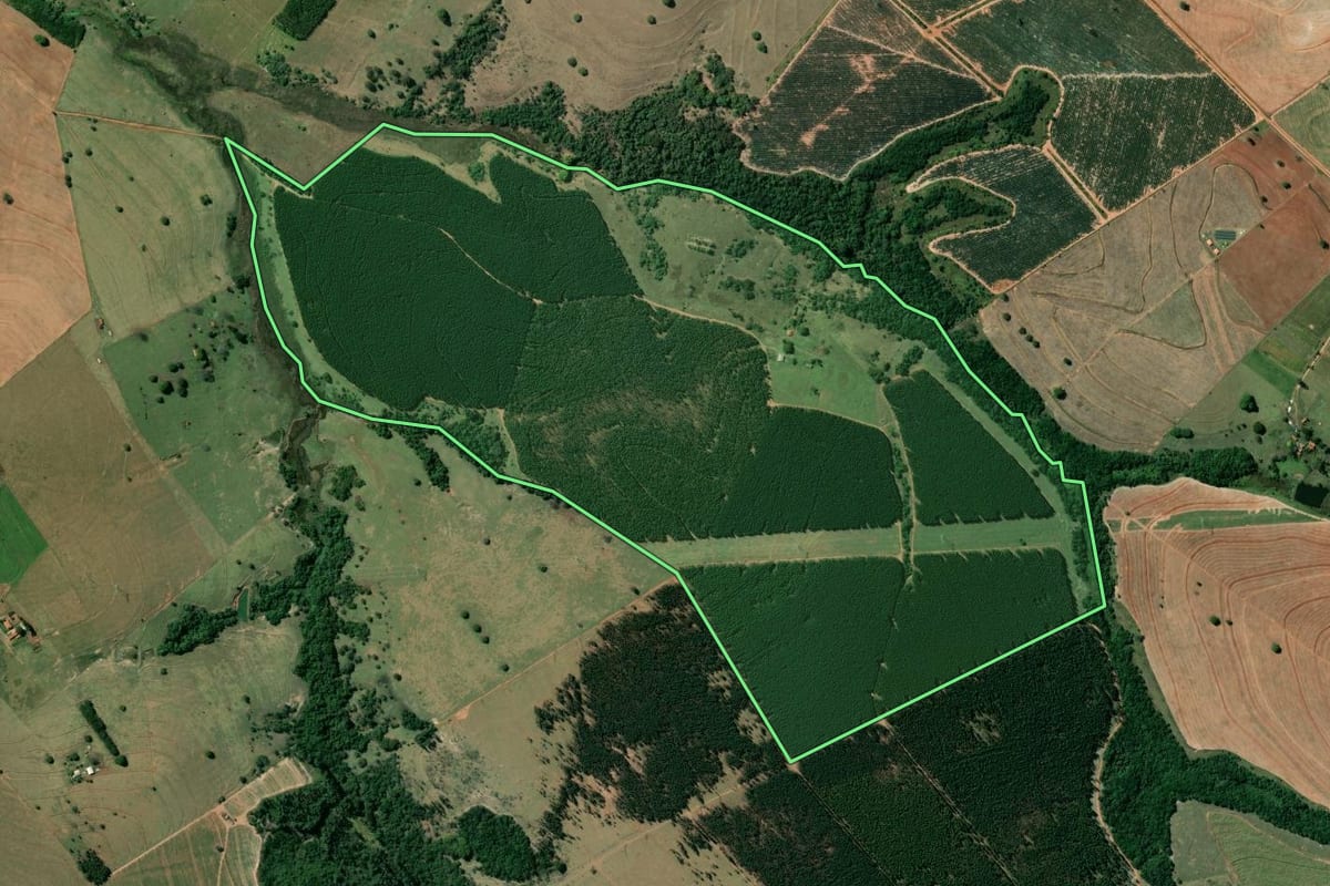 Imagem de satélite do imóvel rural em Agudos (SP), com o contorno declarado no CAR desenhado por cima.