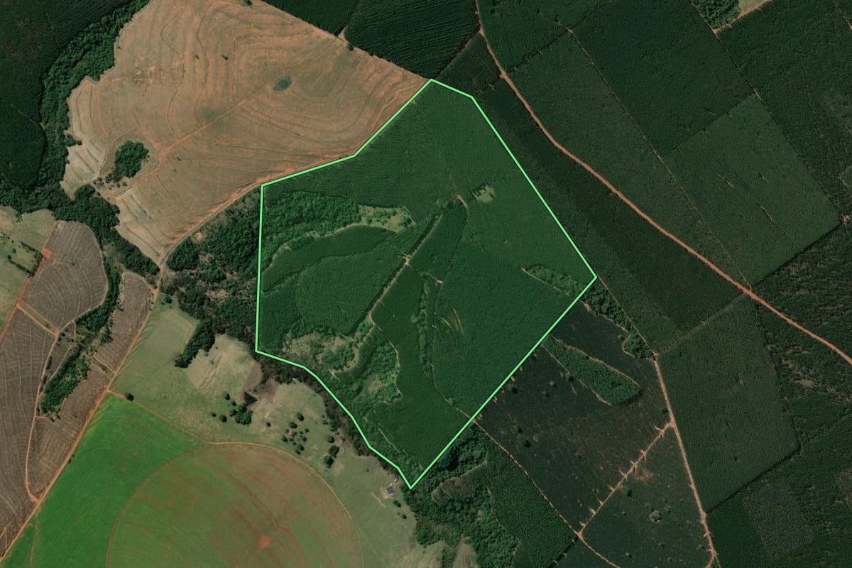 Imagem de satélite do imóvel rural em Agudos (SP), com o contorno declarado no CAR desenhado por cima.